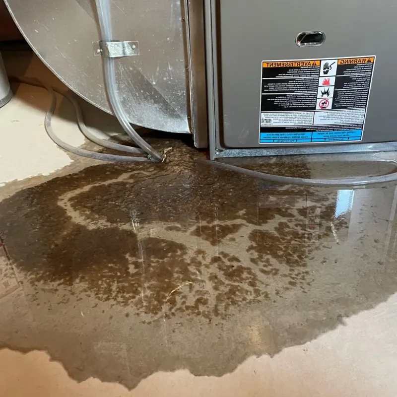 Pipe Burst and Leak Restoration in Urbancrest, OH